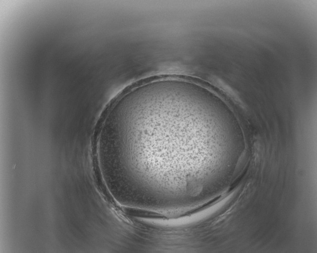 X0000062631264200512231003