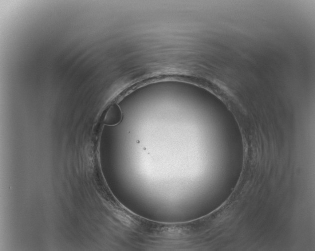 X0000062631266200512231003