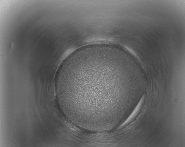 X0000062631267200512231003