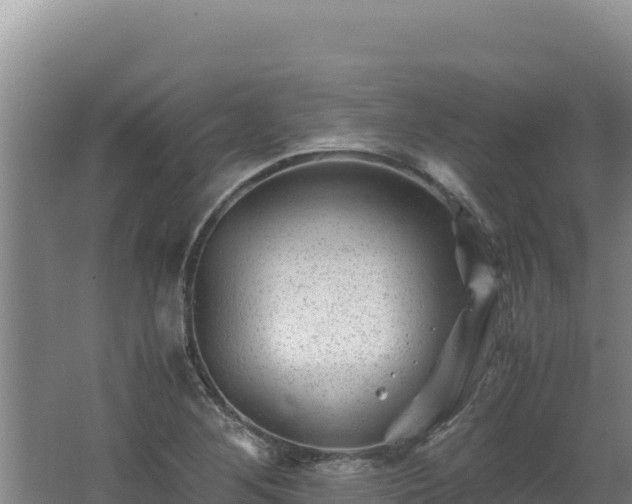 X0000062631268200512231003