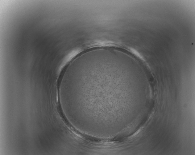 X0000062631269200512231003