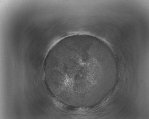 X0000062631271200512231003