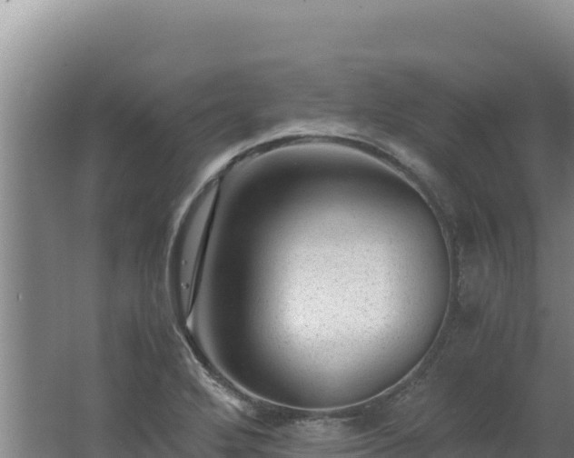 X0000062631272200512231003