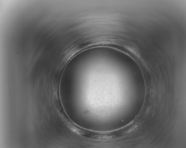 X0000062631273200512231003