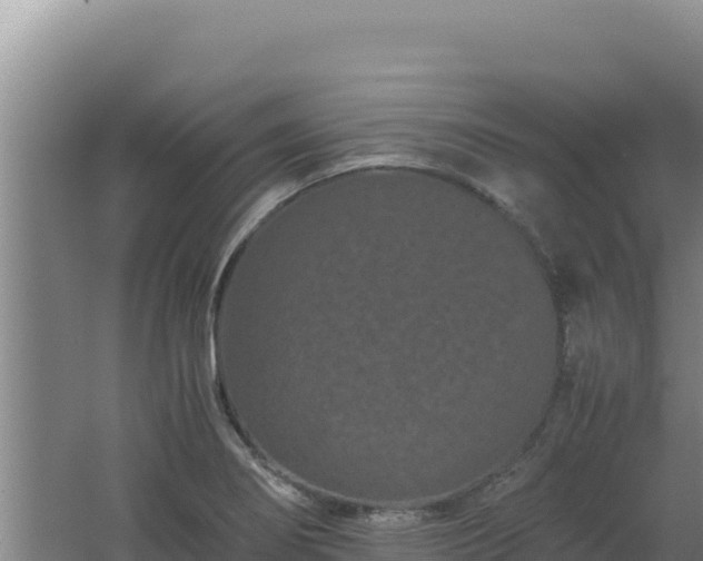 X0000062631274200512231003