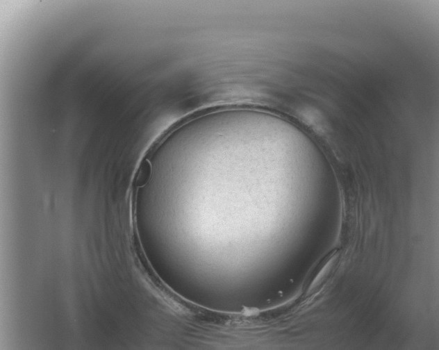 X0000062631275200512231003