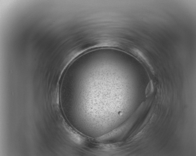 X0000062631276200512231003