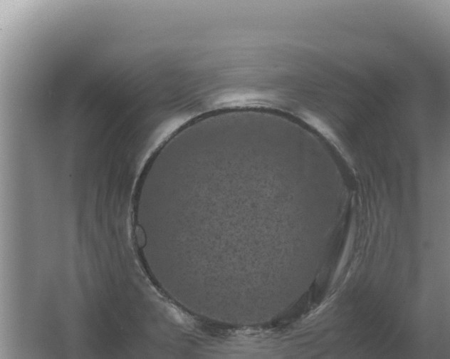 X0000062631277200512231003