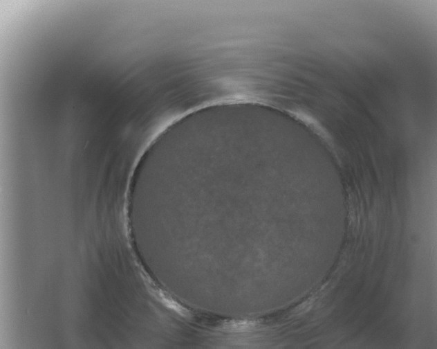 X0000062631278200512231003