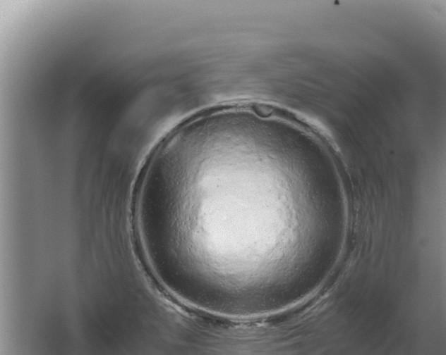 X0000062631279200512231003