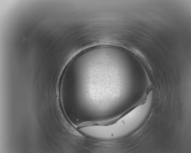 X0000062631280200512231003