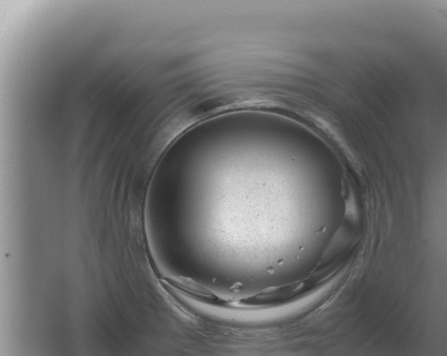 X0000062631281200512231003