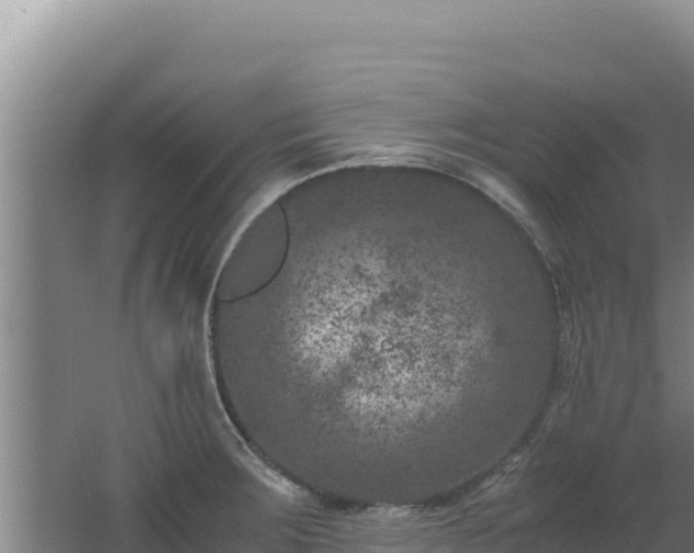 X0000062631283200512231003