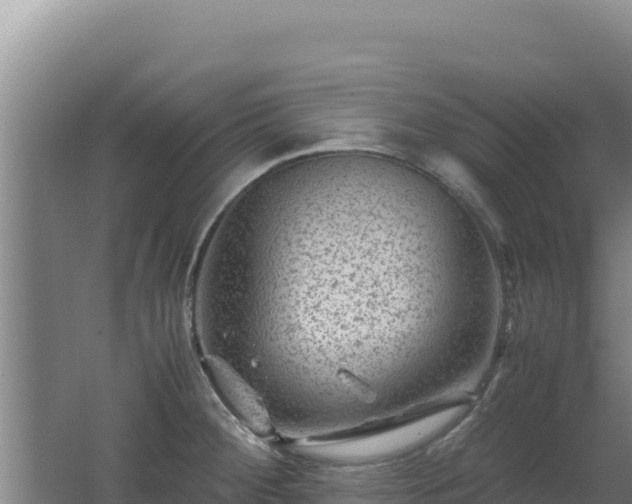 X0000062631284200512231003