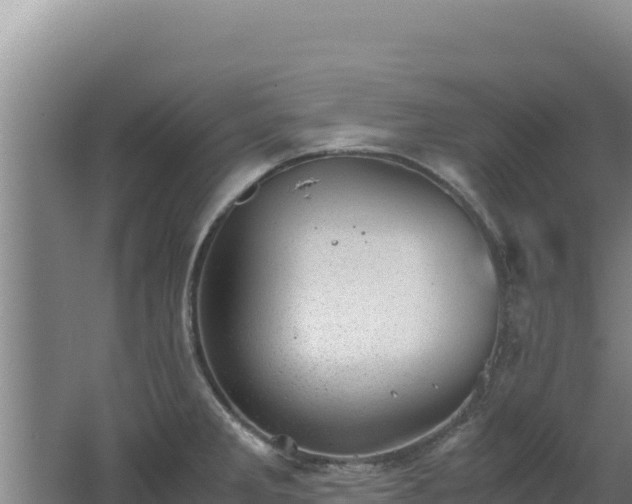 X0000062631285200512231003