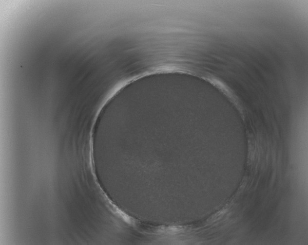 X0000062631286200512231003