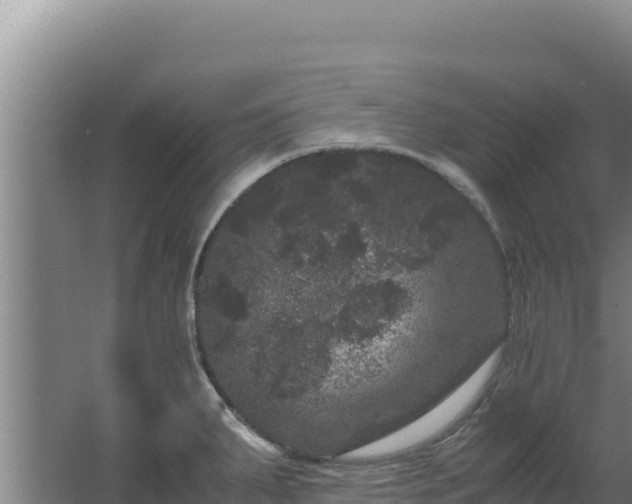 X0000062631287200512231003