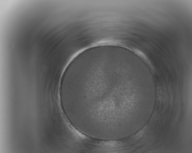 X0000062631288200512231003