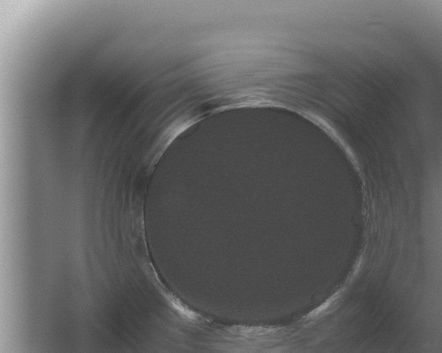 X0000062631289200512231003