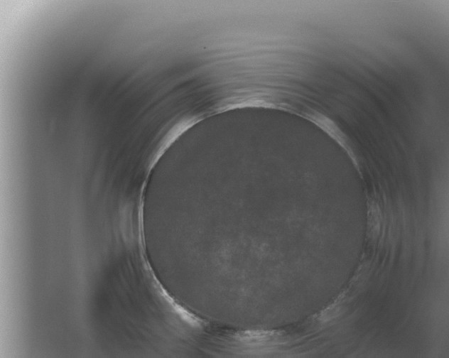 X0000062631290200512231003