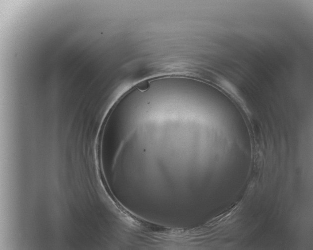 X0000062631291200512231003