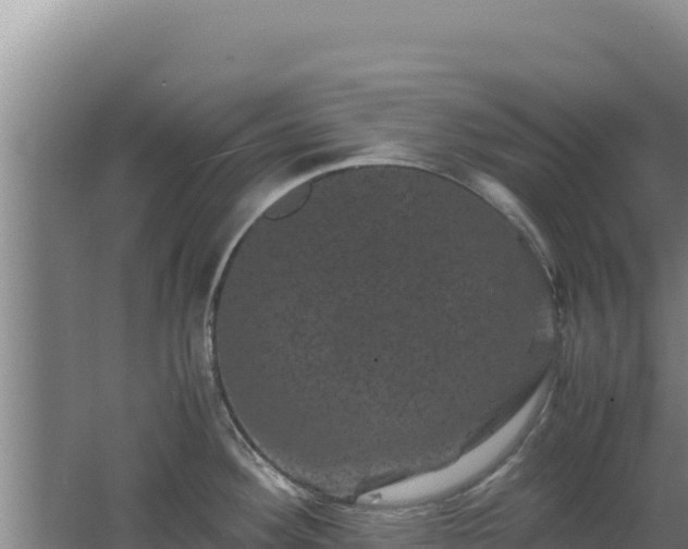 X0000062631292200512231003