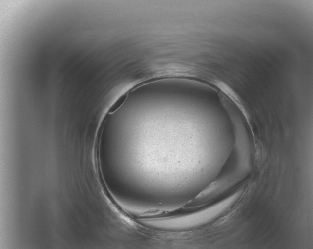 X0000062631293200512231003