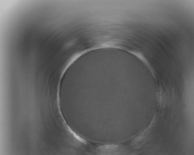 X0000062631294200512231003