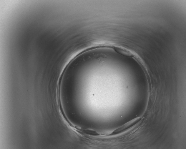 X0000062631295200512231003