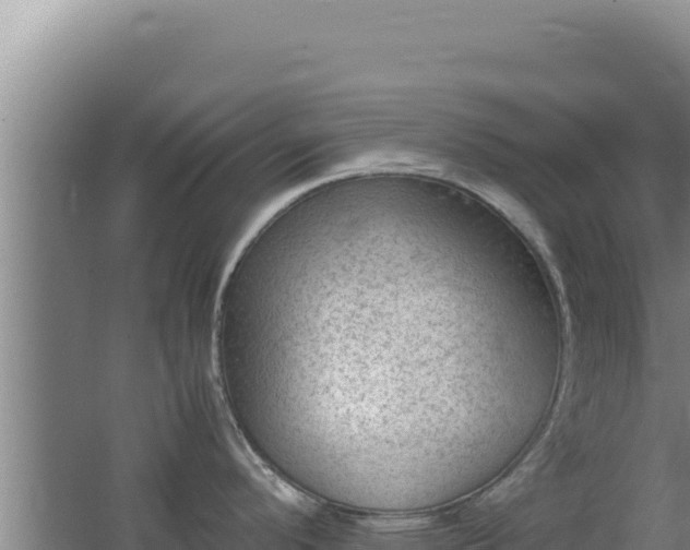 X0000062631296200512231003