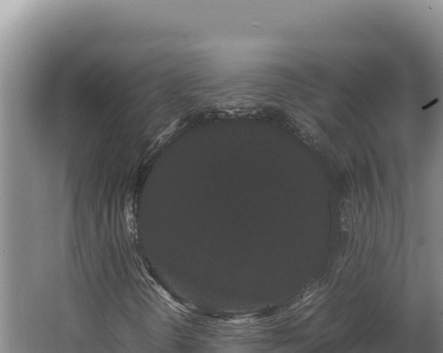 X0000062631298200512231002