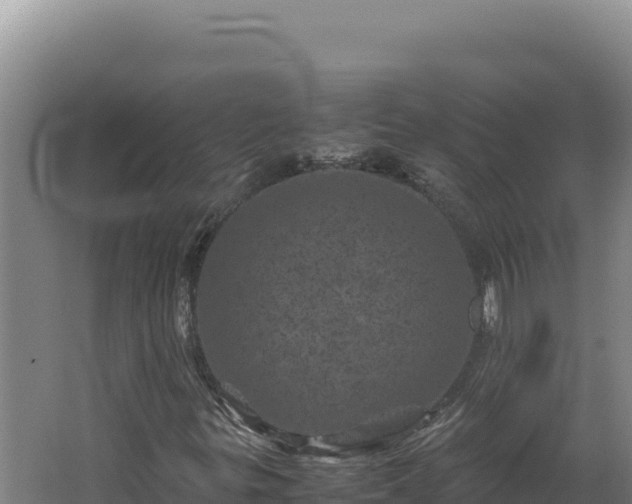 X0000062631299200512231002