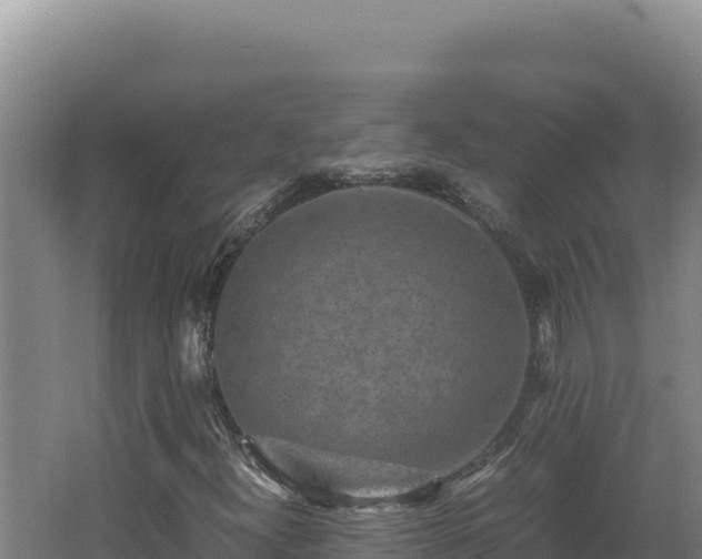 X0000062631300200512231002