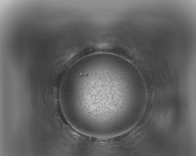 X0000062631301200512231002