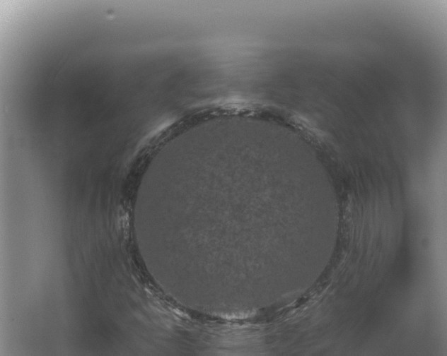 X0000062631302200512231002