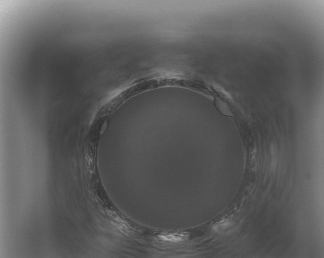 X0000062631303200512231002