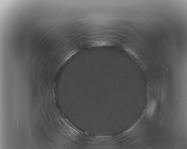 X0000062631305200512231002