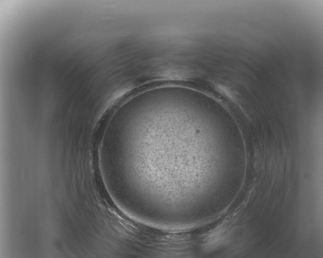 X0000062631307200512231002