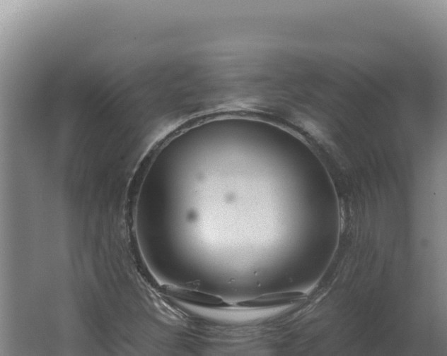 X0000062631308200512231002