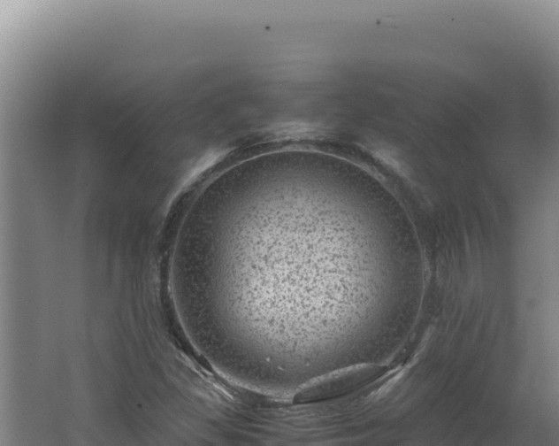 X0000062631309200512231002