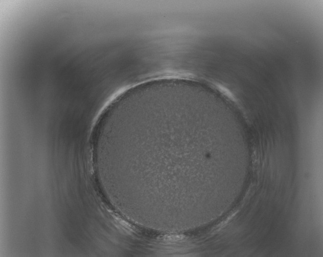 X0000062631310200512231002