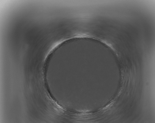 X0000062631311200512231002