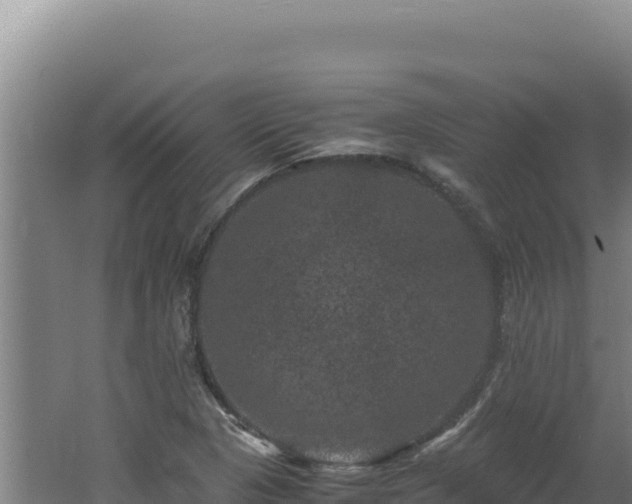 X0000062631313200512231002