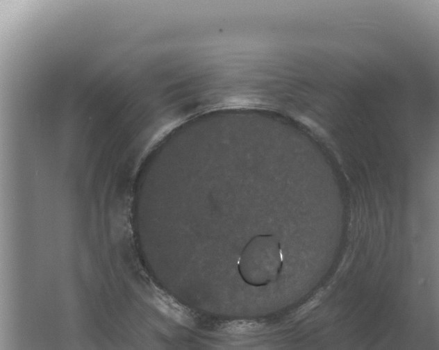 X0000062631314200512231002