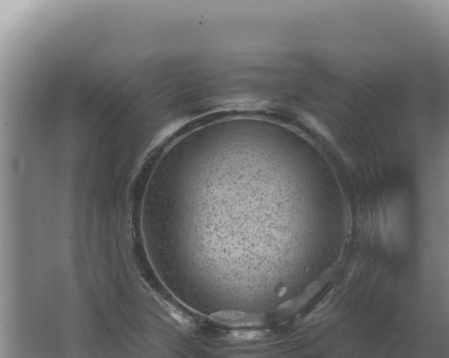 X0000062631315200512231002