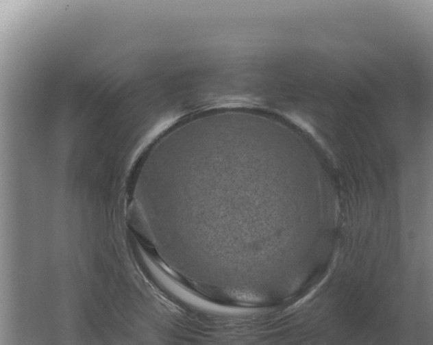 X0000062631317200512231002