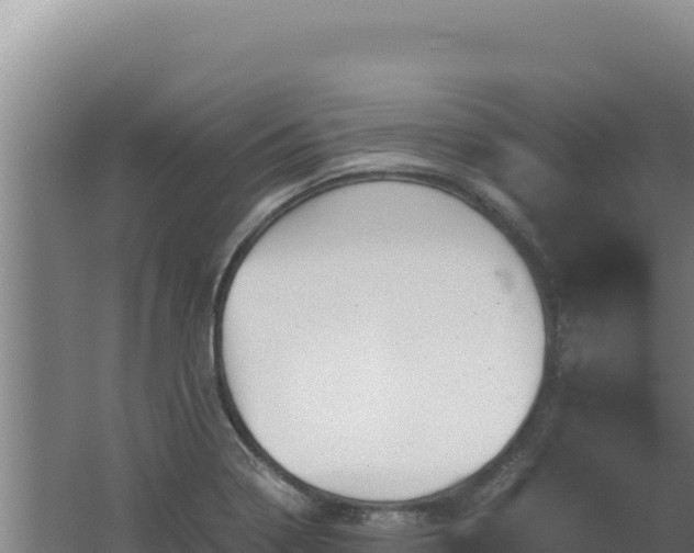 X0000062631322200512231003