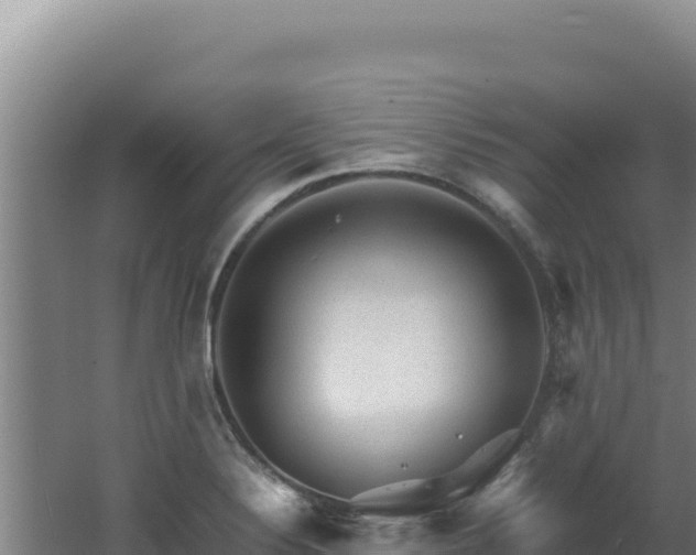 X0000062631324200512231003