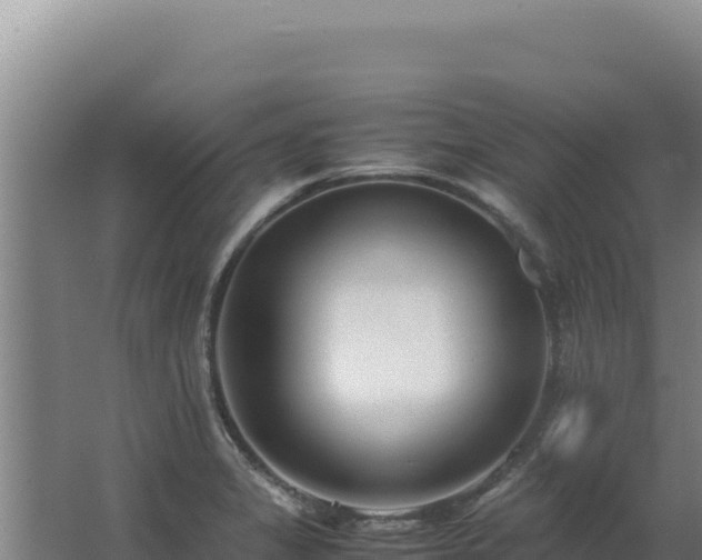 X0000062631325200512231003