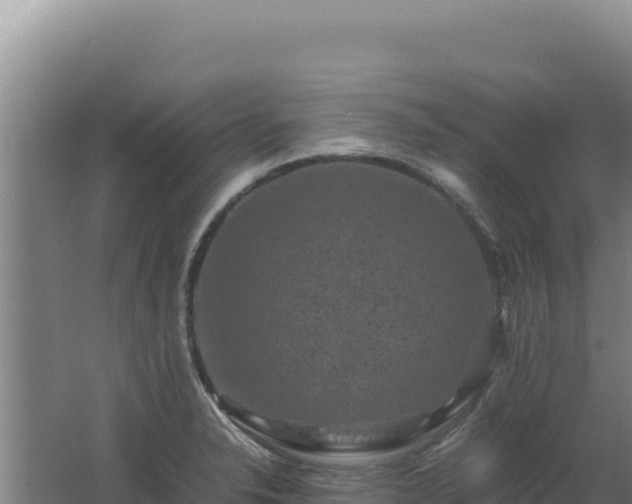 X0000062631326200512231003